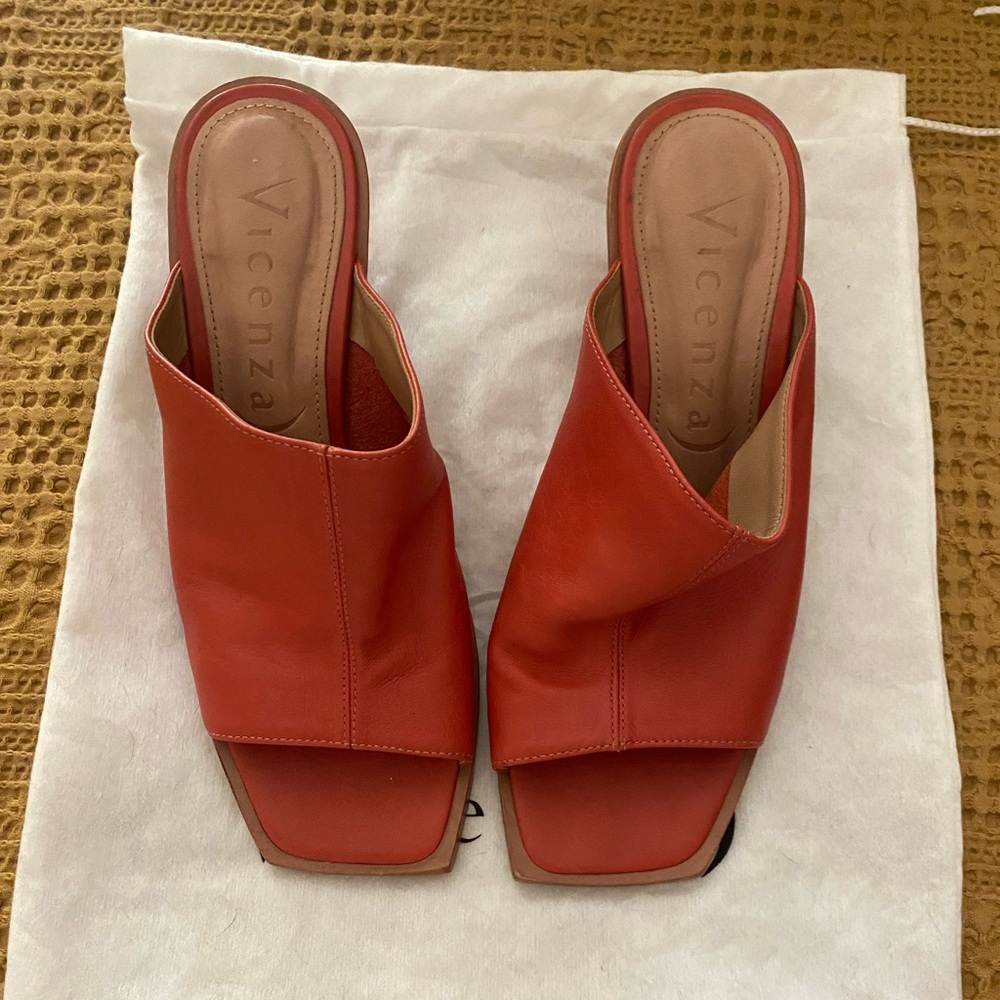 Anthropologie Vicenza Heels.